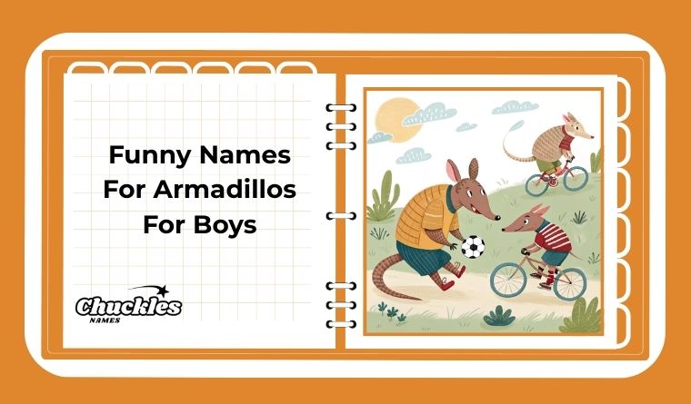 Funny Names For Armadillos For Boys