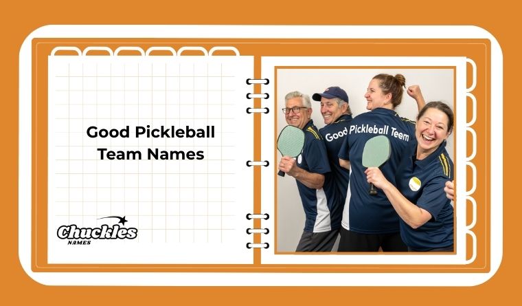 Good Pickleball Team Names