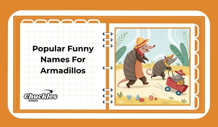 Popular Funny Names For Armadillos