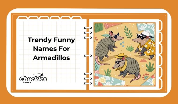 Trendy Funny Names For Armadillos