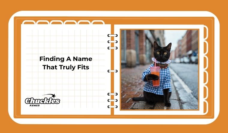 Finding A Name That Truly Fits