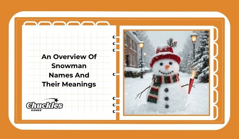 An Overview Of Snowman Names And Their Meanings