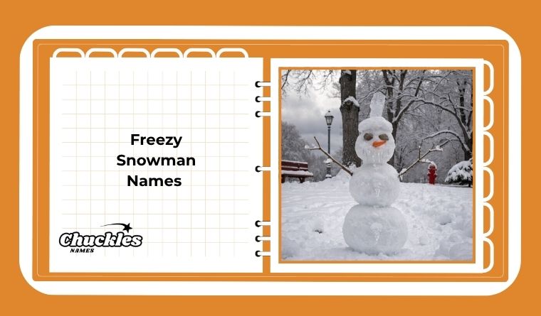 Freezy Snowman Names