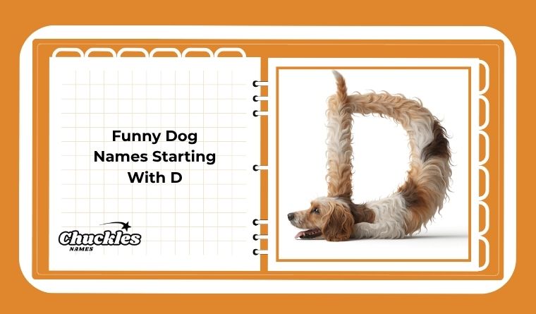 Funny Dog Names Starting With D