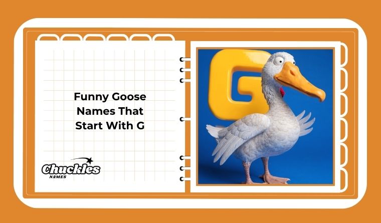 Funny Goose Names That Start With G