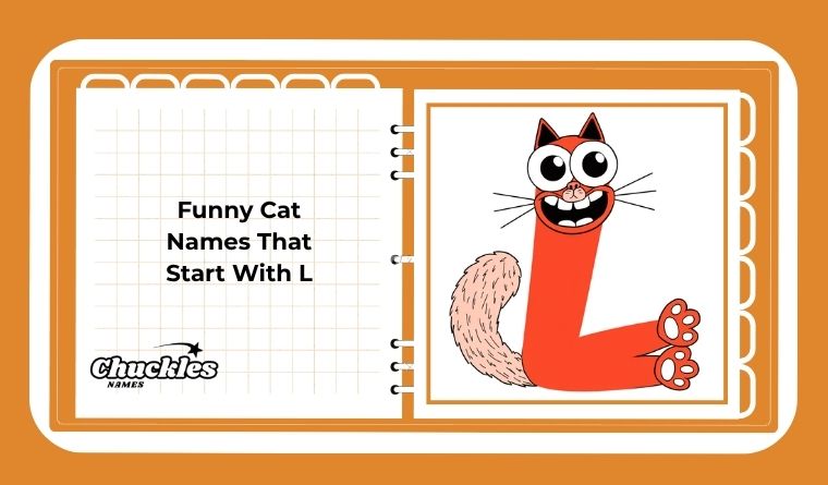 Funny Cat Names That Start With L