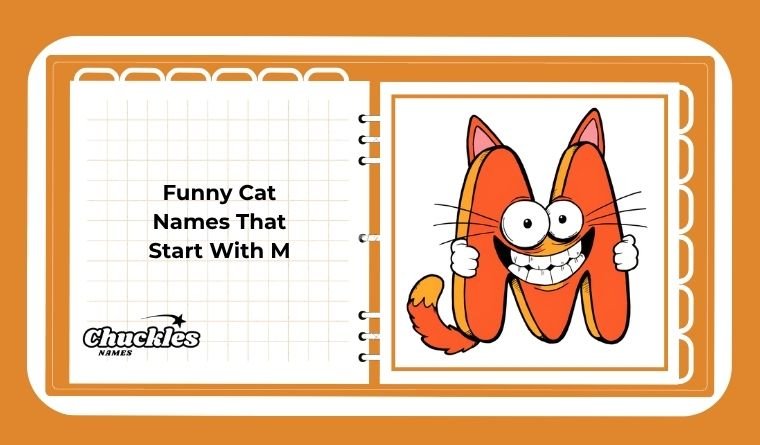 Funny Cat Names That Start With M