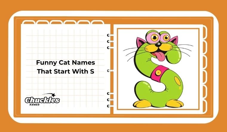 Funny Cat Names That Start With S