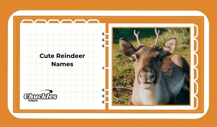 Cute Reindeer Names