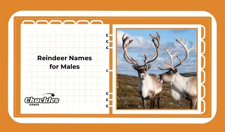 Reindeer Names for Males
