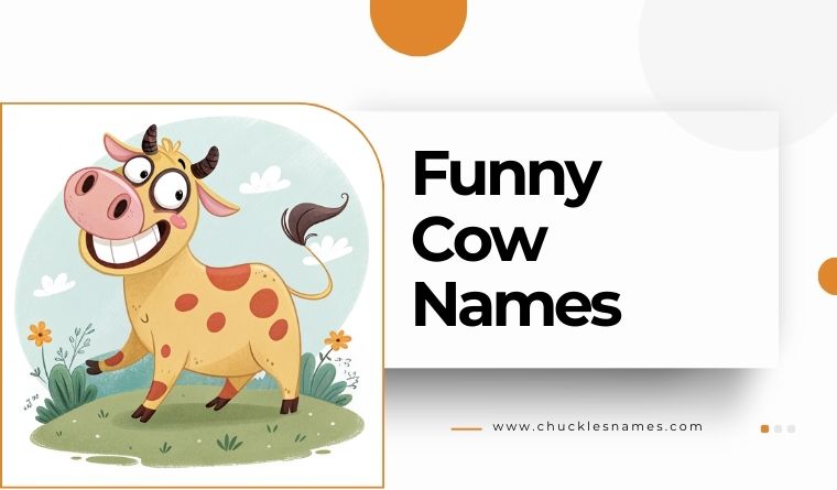 Funny Cow Names