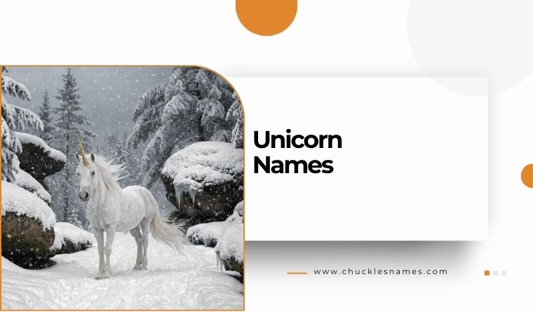 Unicorn Names